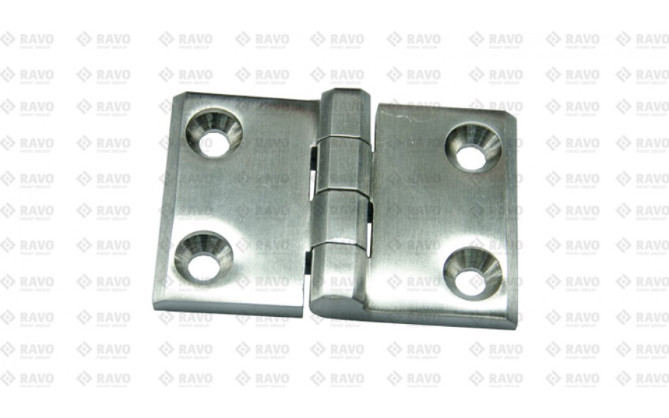 HINGE CONTAINER DOOR 50 * 76 SS