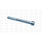 SOCKET HEAD CAP SCREW M12X110